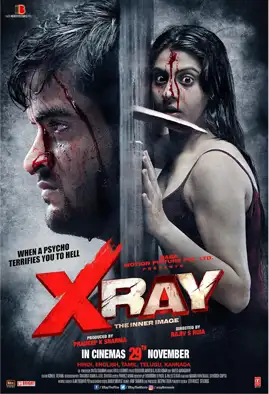 X Ray The Inner Image 2019 Hindi 450MB HDRip 720p HEVC